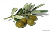 продаём  масло  оливковое EXTRA  VIRGIN